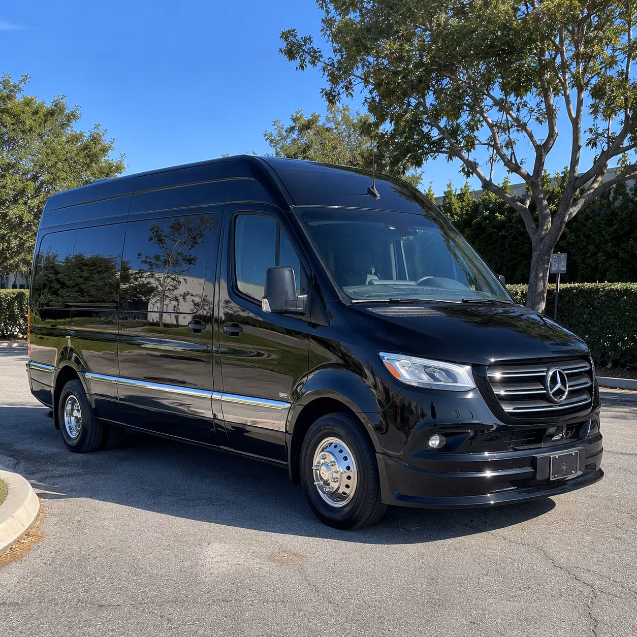 pittsburgh sprinter van with driver